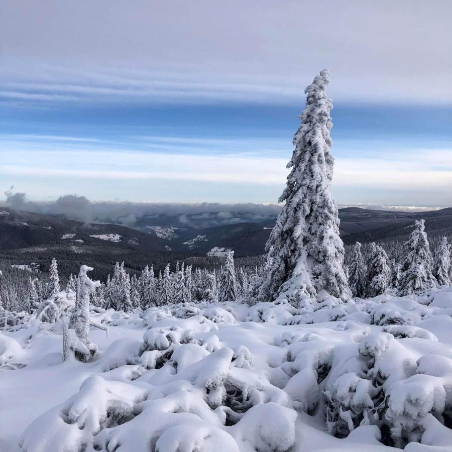 Apartman Liska V Peci - Apartmanovy Dum Horalka, Pec Pod Snezkou Bagian luar foto