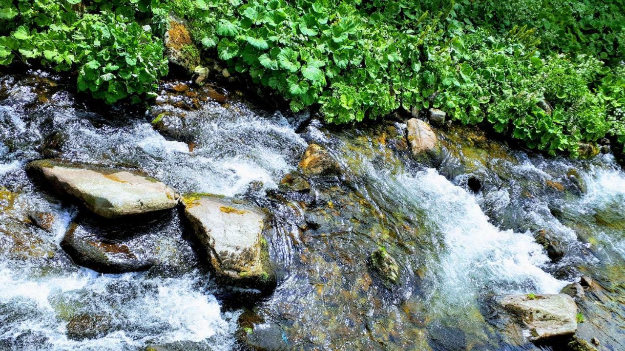 Apartman Liska V Peci - Apartmanovy Dum Horalka, Pec Pod Snezkou Bagian luar foto